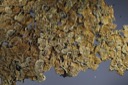 1441 Lobaria saxatilis-Parmelis sulcata unsicher